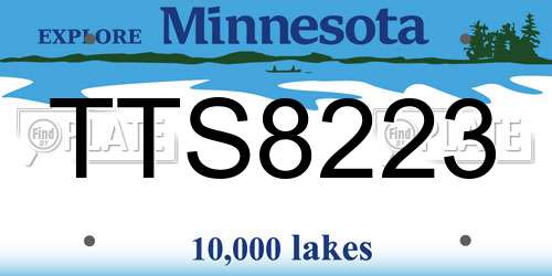 TTS8223 Minnesota License Plate