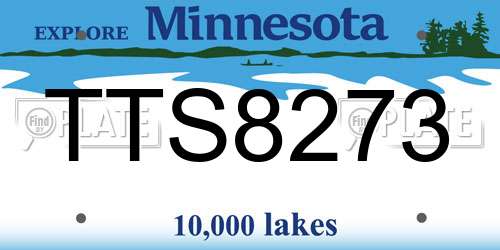 TTS8273 Minnesota License Plate