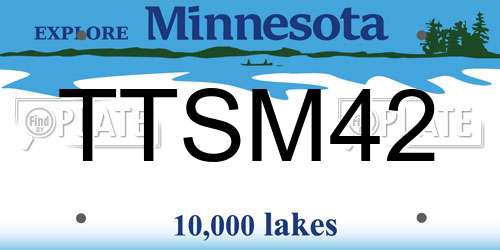 TTSM42 Minnesota License Plate