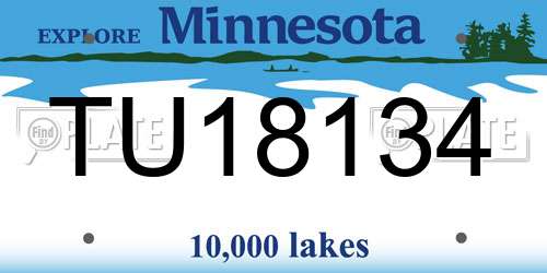 TU18134 Minnesota License Plate