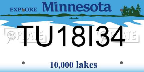 TU18I34 Minnesota License Plate