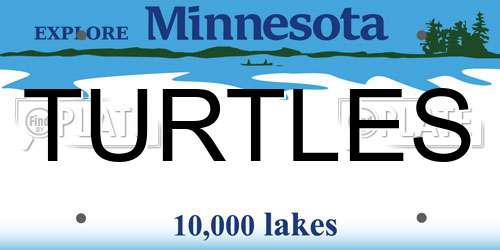 TURTLES Minnesota License Plate