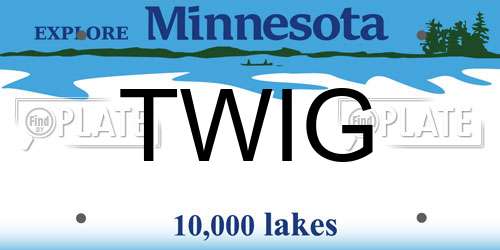 TWIG Minnesota License Plate
