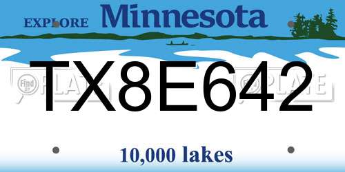 TX8E642 Minnesota License Plate