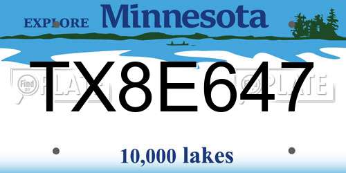 TX8E647 Minnesota License Plate