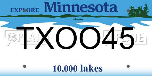 TXOO45 Minnesota License Plate