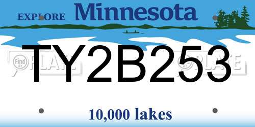 TY2B253 Minnesota License Plate
