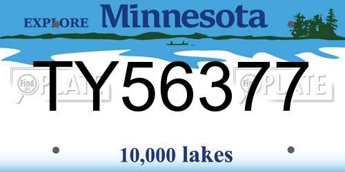 TY56377 Minnesota License Plate