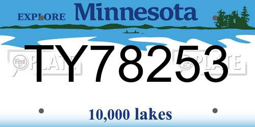 TY78253 Minnesota License Plate