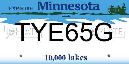 TYE65G Minnesota License Plate