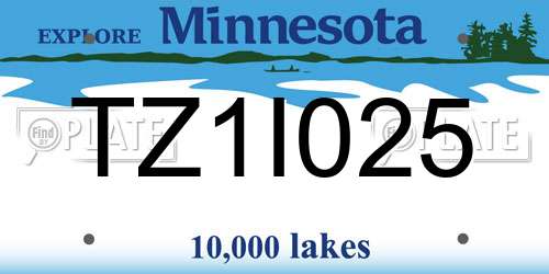 TZ1I025 Minnesota License Plate