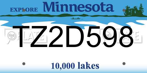 TZ2D598 Minnesota License Plate