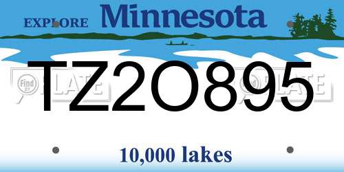 TZ2O895 Minnesota License Plate