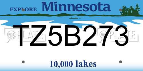 TZ5B273 Minnesota License Plate