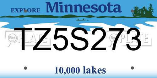 TZ5S273 Minnesota License Plate