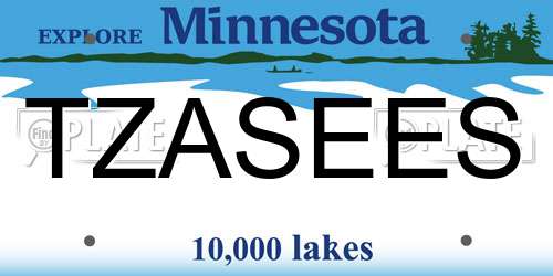 TZASEES Minnesota License Plate