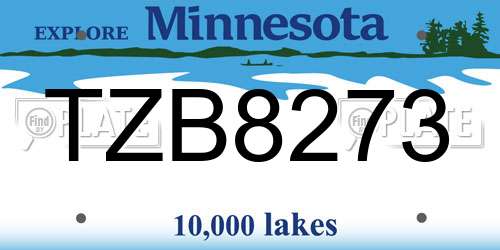 TZB8273 Minnesota License Plate