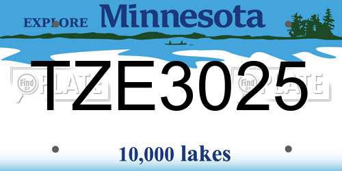 TZE3025 Minnesota License Plate