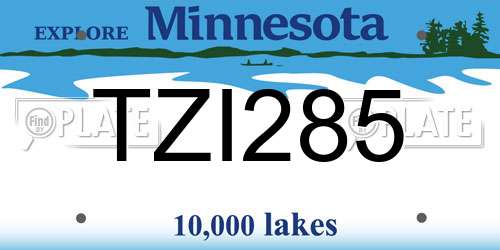 TZI285 Minnesota License Plate
