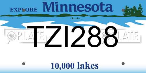 TZI288 Minnesota License Plate