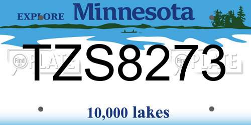 TZS8273 Minnesota License Plate