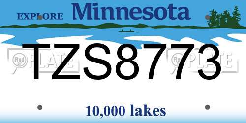TZS8773 Minnesota License Plate