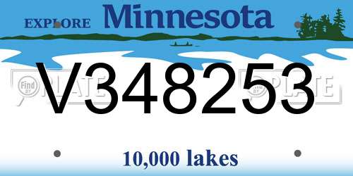 V348253 Minnesota License Plate