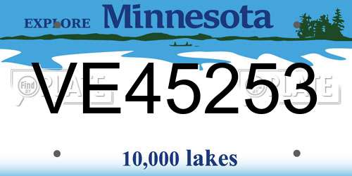 VE45253 Minnesota License Plate