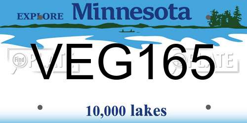 VEG165 Minnesota License Plate