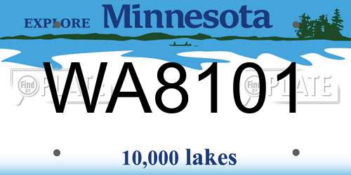 WA8101 Minnesota License Plate