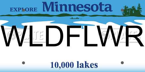 WLDFLWR Minnesota License Plate