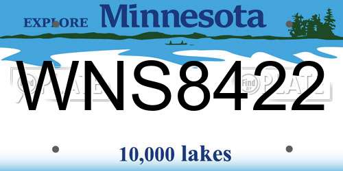 WNS8422 Minnesota License Plate