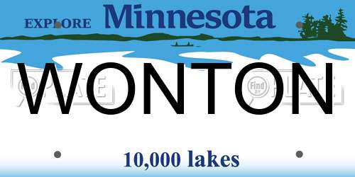 WONTON Minnesota License Plate