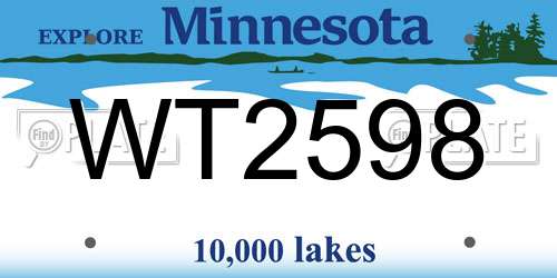 WT2598 Minnesota License Plate