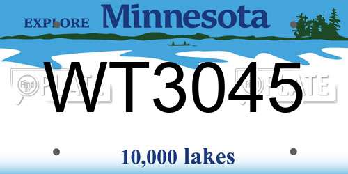 WT3045 Minnesota License Plate