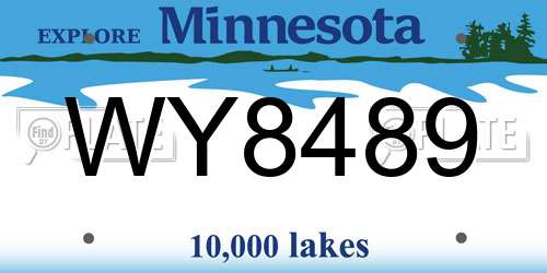 WY8489 Minnesota License Plate