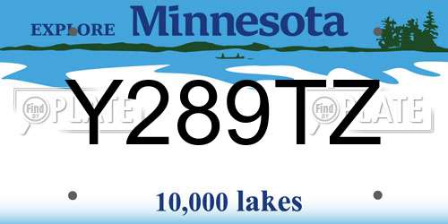 Y289TZ Minnesota License Plate