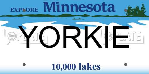 YORKIE Minnesota License Plate