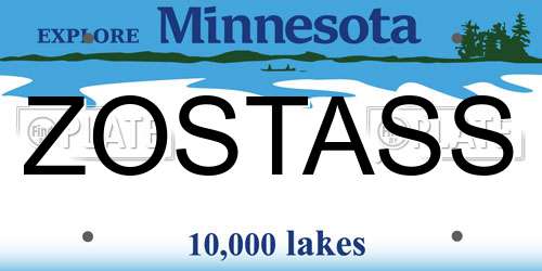 ZOSTASS Minnesota License Plate