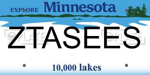 ZTASEES Minnesota License Plate