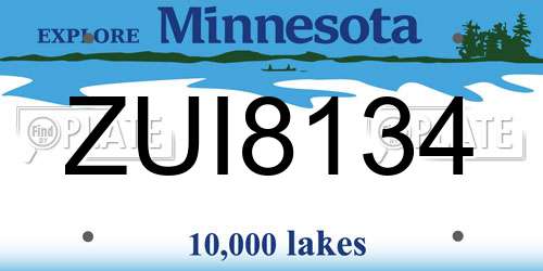 ZUI8134 Minnesota License Plate
