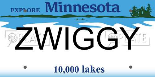 ZWIGGY Minnesota License Plate