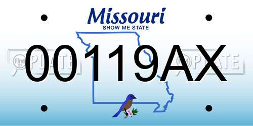 00119AX Missouri License Plate