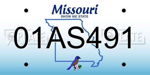 01AS491 Missouri License Plate