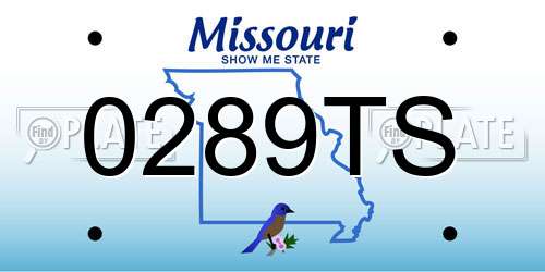 0289TS Missouri License Plate