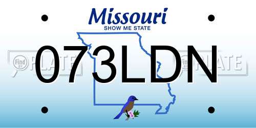 073LDN Missouri License Plate