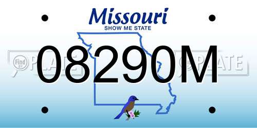 08290M Missouri License Plate