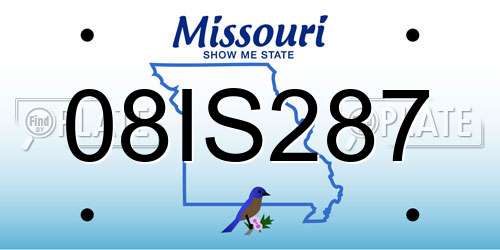 08IS287 Missouri License Plate