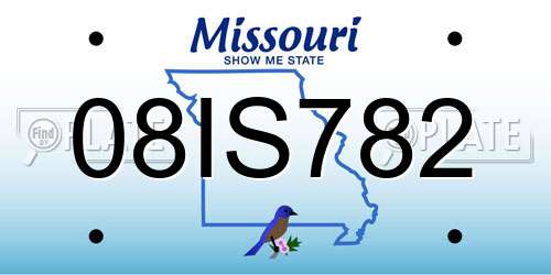 08IS782 Missouri License Plate