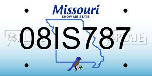 08IS787 Missouri License Plate